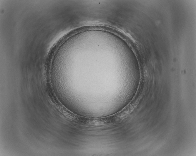 X0000072931311200608111525