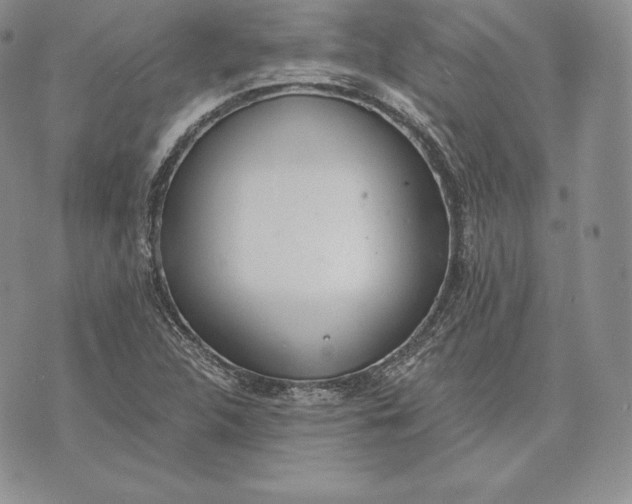 X0000072931312200608111525