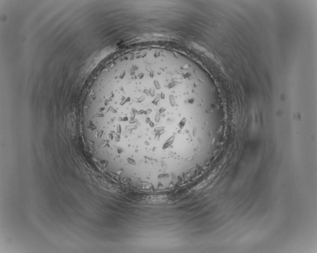 X0000072931313200608111525