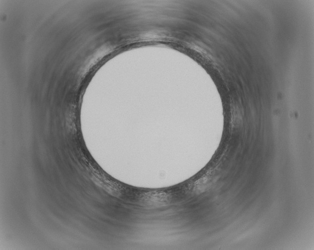 X0000072931314200608111525