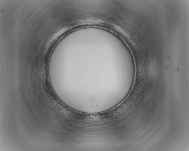 X0000072931315200608111525