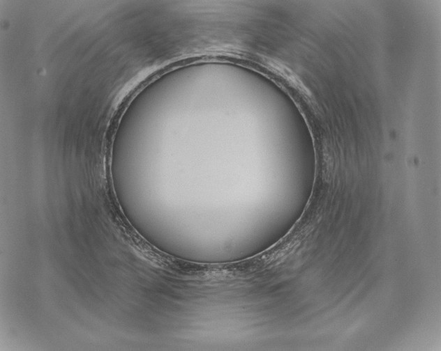 X0000072931316200608111525