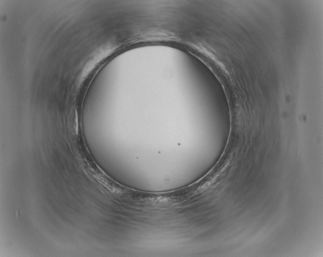 X0000072931317200608111525