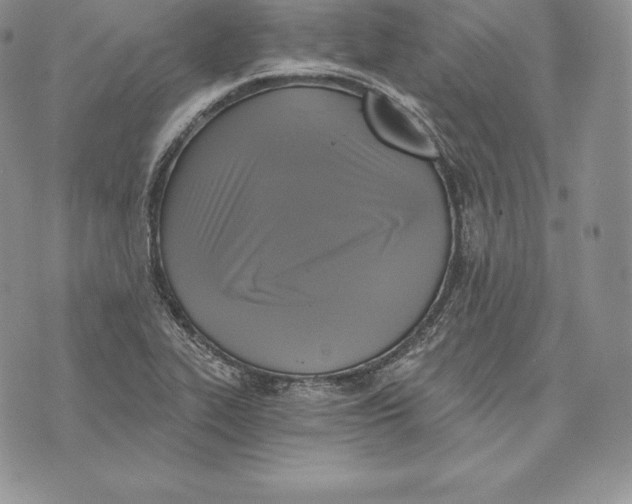 X0000072931319200608111525