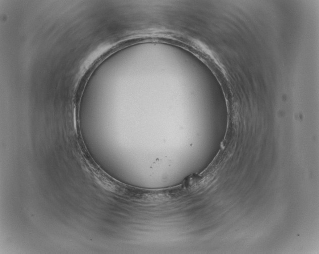 X0000072931320200608111525