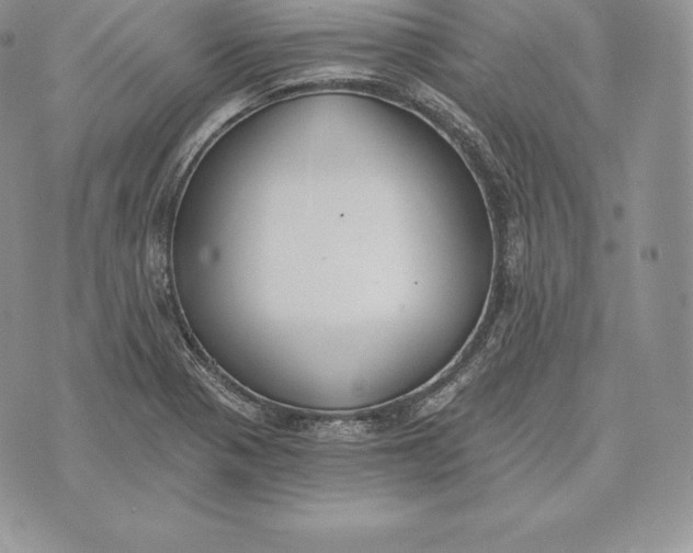 X0000072931321200608111525