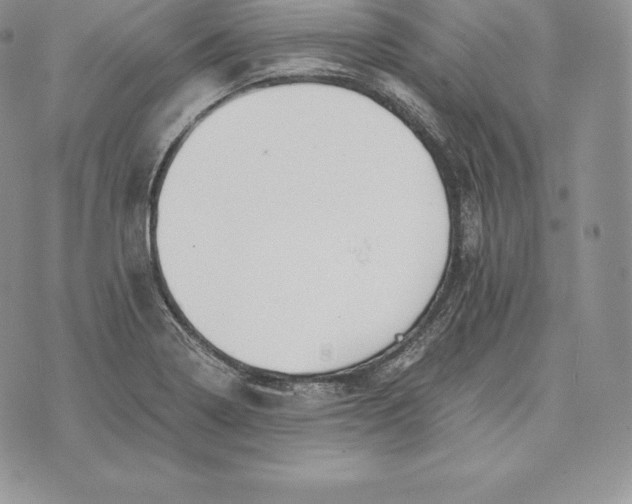 X0000072931322200608111525