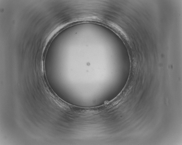 X0000072931324200608111525