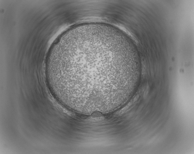 X0000072931325200608111525