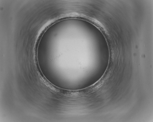 X0000072931326200608111525