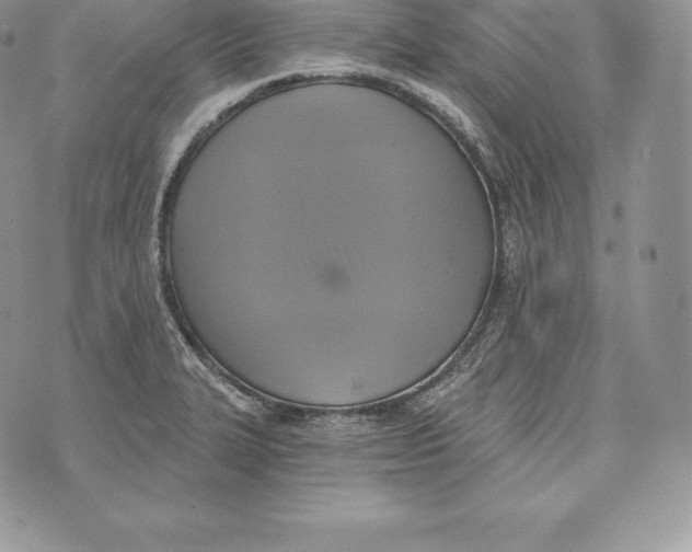 X0000072931327200608111525