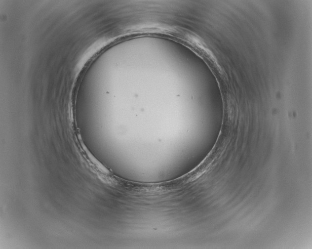 X0000072931328200608111525