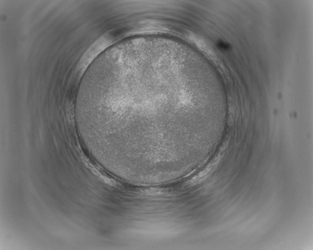 X0000072931329200608111525