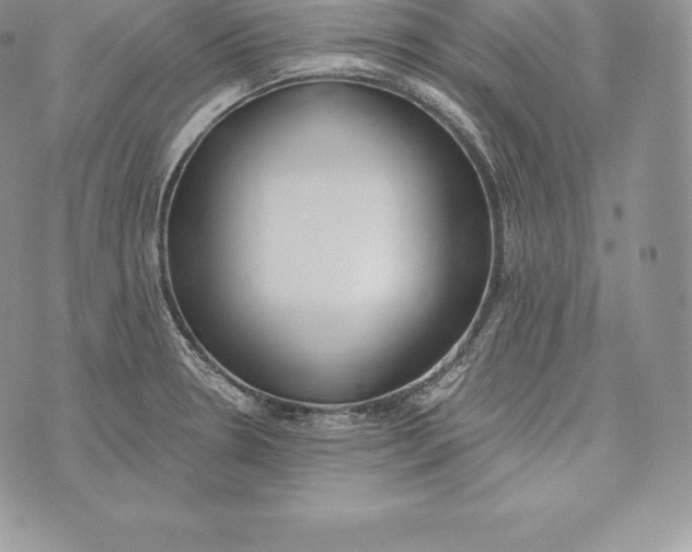 X0000072931330200608111526