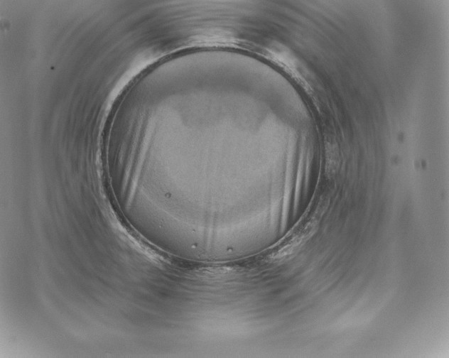 X0000072931331200608111526