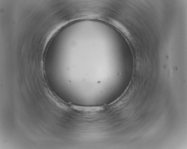 X0000072931332200608111526