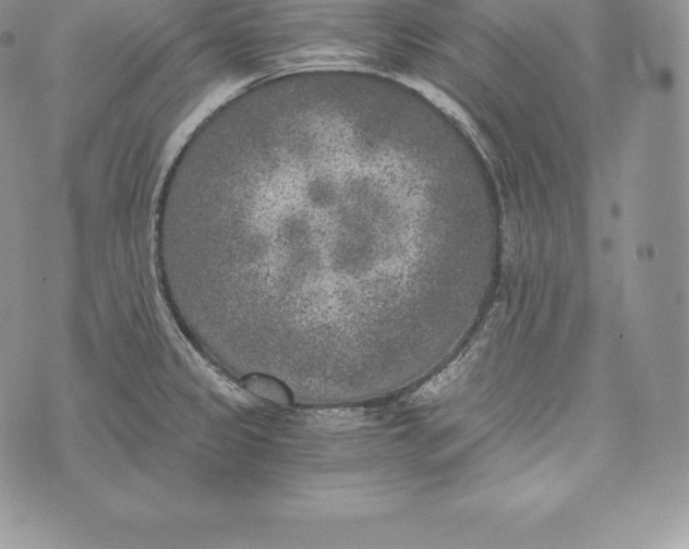 X0000072931333200608111526