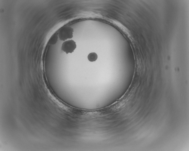 X0000072931335200608111526