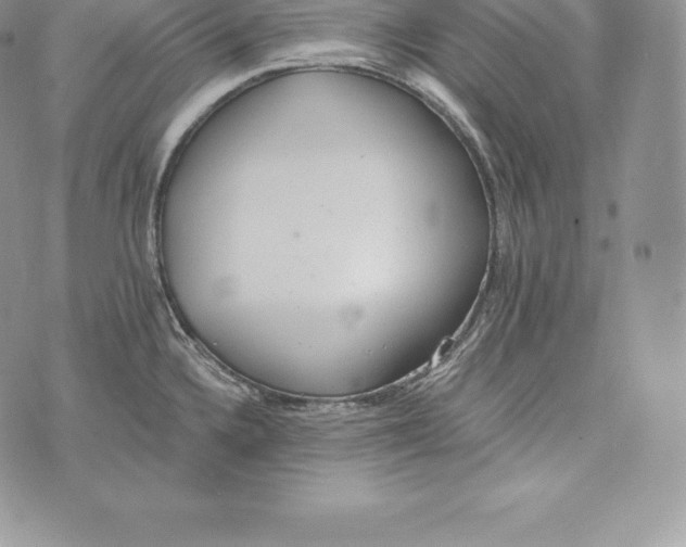 X0000072931336200608111526