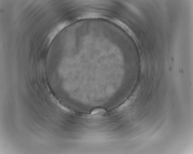 X0000072931337200608111526