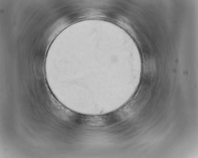 X0000072931338200608111526