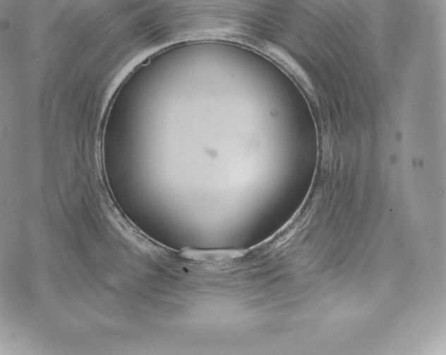 X0000072931340200608111526