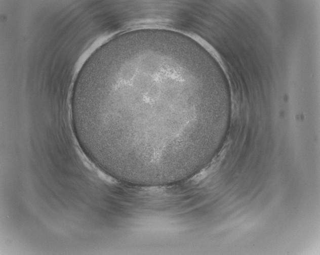 X0000072931341200608111526