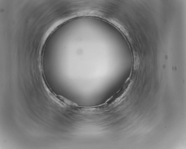 X0000072931342200608111526