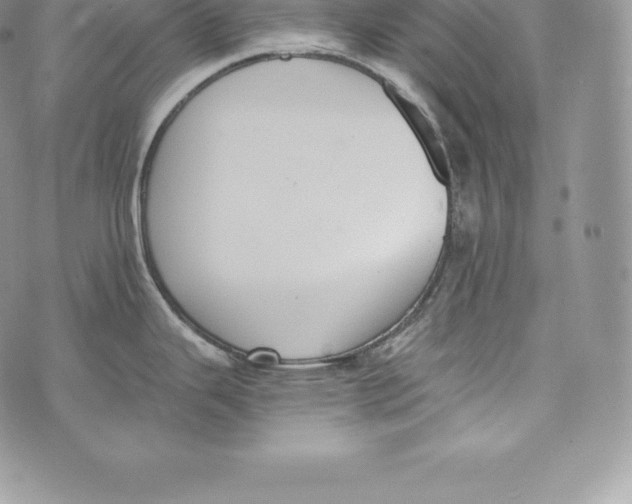 X0000072931343200608111526