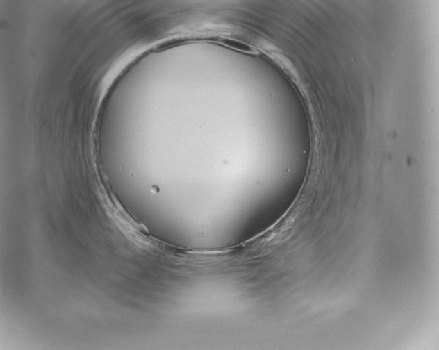 X0000072931344200608111526