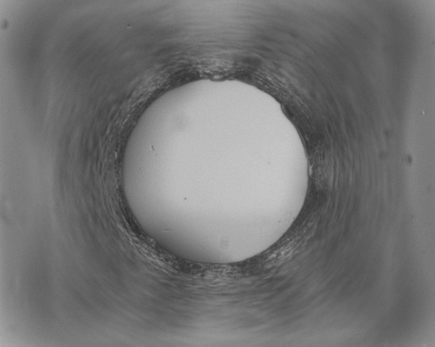 X0000072931345200608111525