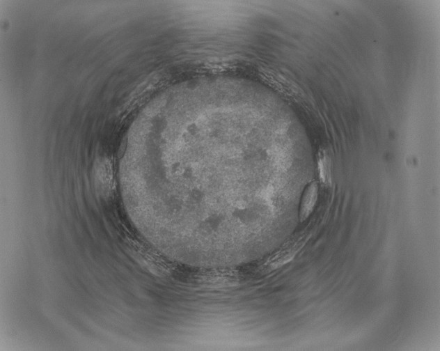 X0000072931347200608111525