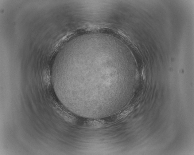 X0000072931348200608111525