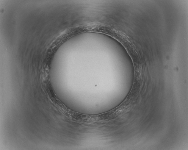 X0000072931349200608111525