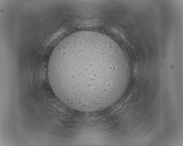 X0000072931350200608111525