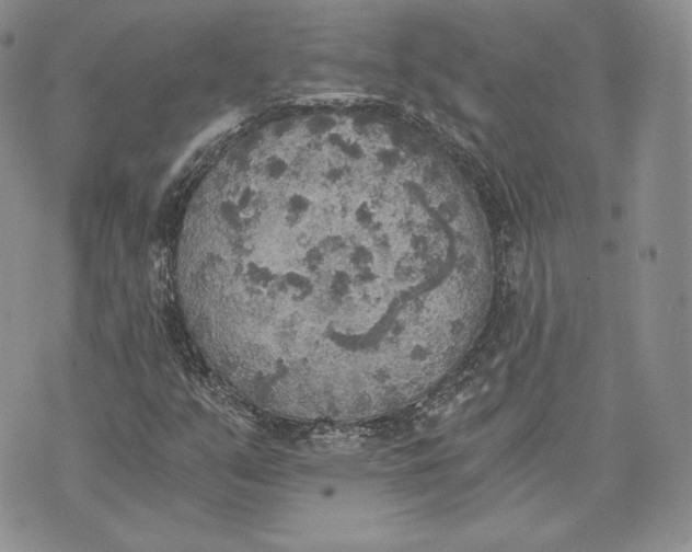 X0000072931351200608111525