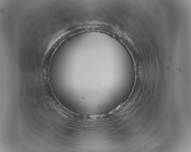 X0000072931352200608111525