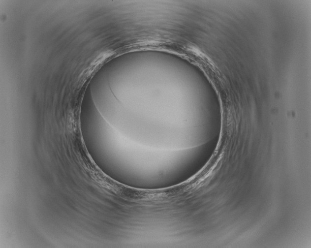 X0000072931353200608111525