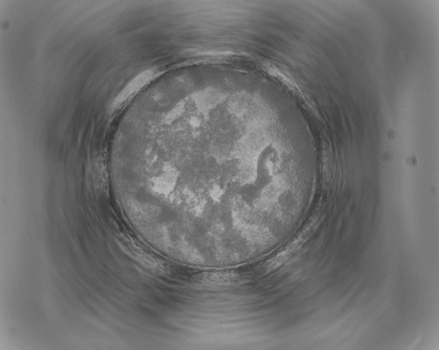 X0000072931354200608111525