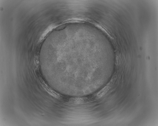 X0000072931355200608111525