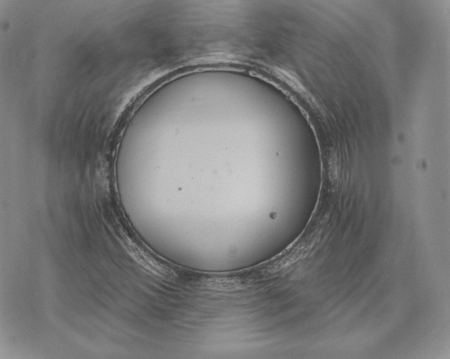 X0000072931356200608111525