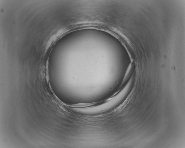 X0000072931357200608111525