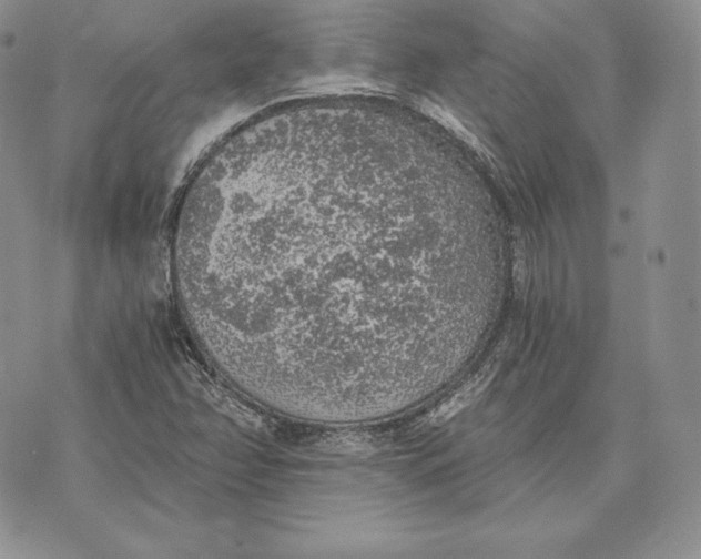 X0000072931358200608111525