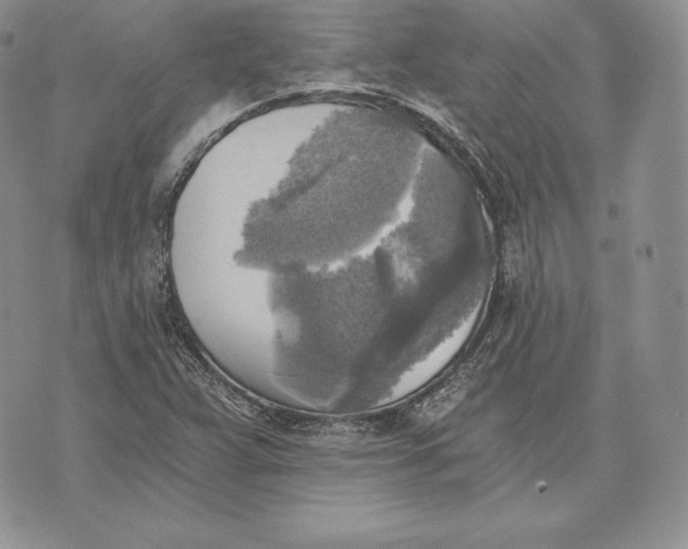 X0000072931359200608111525