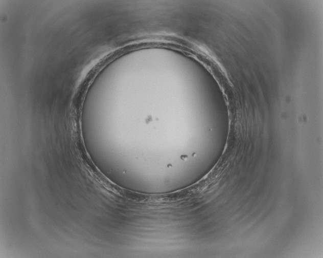 X0000072931360200608111525