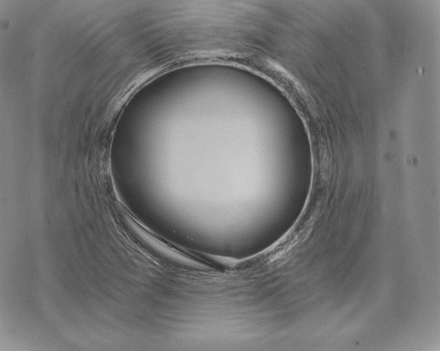 X0000072931361200608111525