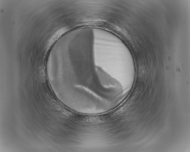 X0000072931362200608111525