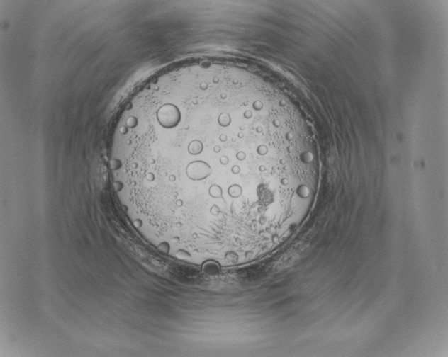 X0000072931363200608111525