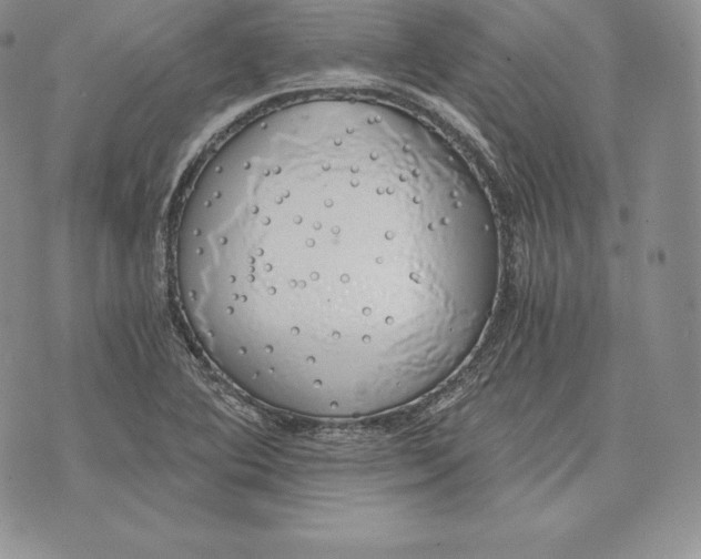 X0000072931364200608111525