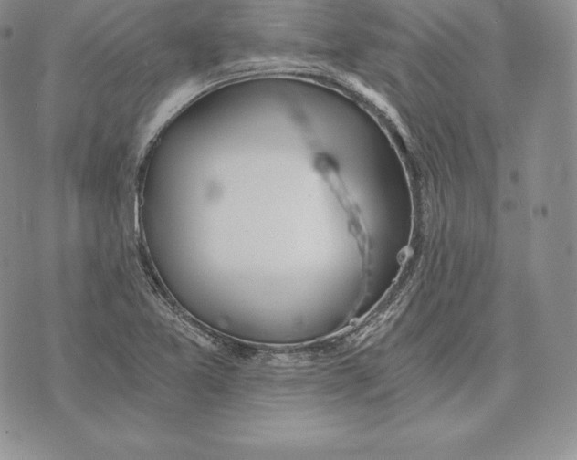 X0000072931365200608111525